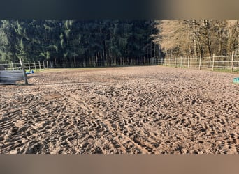 Open stabling