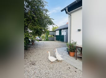 Open stalling voor zelfvoorziening