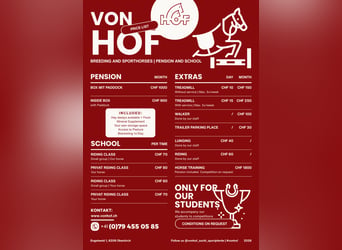 Professionele, familiale paardenstal biedt pension, training en paardrijles