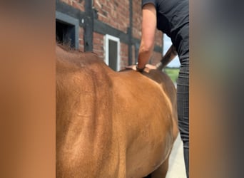 Rehaplaats direct aan de Noordzee
