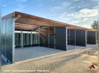 Stal voor paarden - Open stal bouwen & paardenstal, weidehut kopen