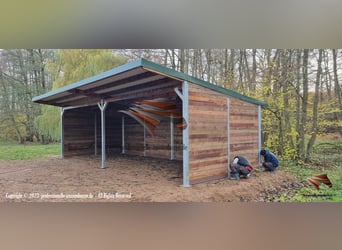 Stal voor paarden - Open stal bouwen & paardenstal, weidehut kopen