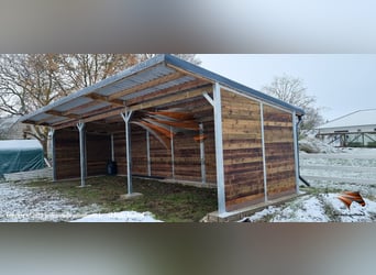 Stal voor paarden - Open stal bouwen & paardenstal, weidehut kopen