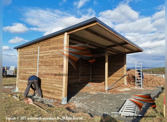 Stal voor paarden - Open stal bouwen & paardenstal, weidehut kopen