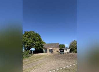 Vrij stalplaats