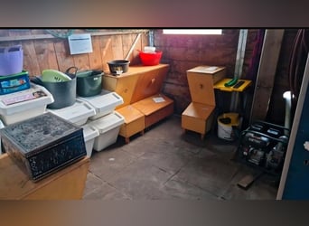 Vrije stallingplaats in een open stal, geschikt voor paarden met hooien of allergieën, allergievrien