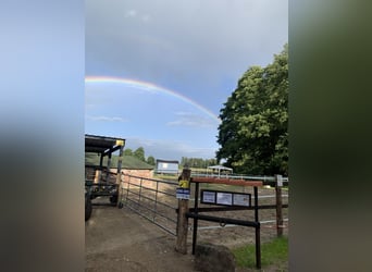 Vrijheidsplaats voor ruin