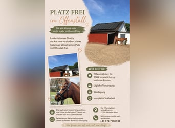 Vrijplaats voor openstalhouder