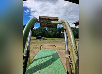 Vrijstalplaats in 91207 Bullach voor een groep van twee paarden