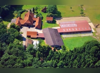 2 freie Einsteller-/Pferdeboxen zu vermieten