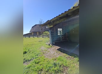 Beschikbaar stalling op een boerderij!