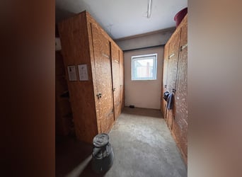Box vrij - Volpension - Paardenpension - Pensionstalhouder