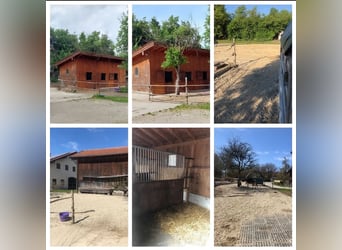 Freie Paddockbox mit Rundum-Service zu vergeben