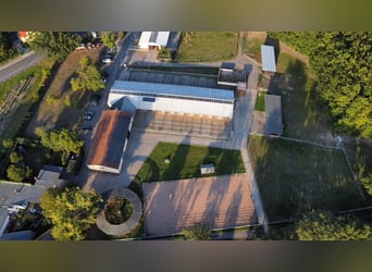 Große, lichtdurchflutete Paddockbox frei