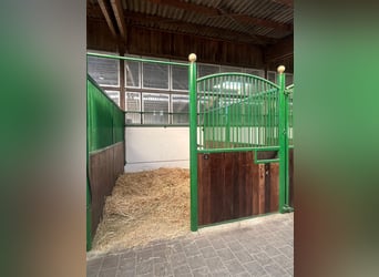 Grote paddock- en binnenstallen te huur