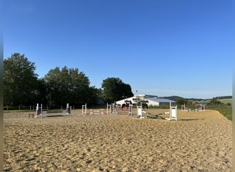 Grote paddockboxen