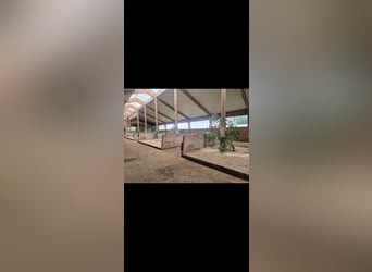 Kleine stallenvereniging