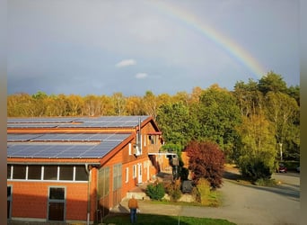 Moderne lichte, luchtige paddockboxen en stallen op een prachtige fokkerij.