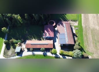 Neueröffnung: Reitanlage Breitbrunn am Chiemsee