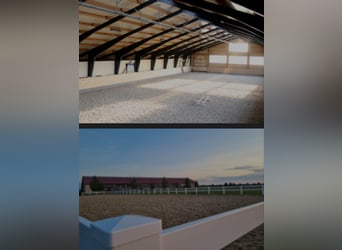 Paddockboxen te huur