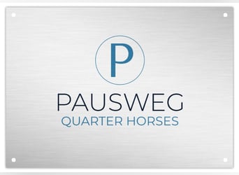 Vrije paardenboxen met paddock en weidegang – in 3812 Weinern 🐴