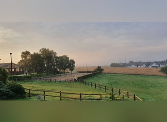 Stal te huur