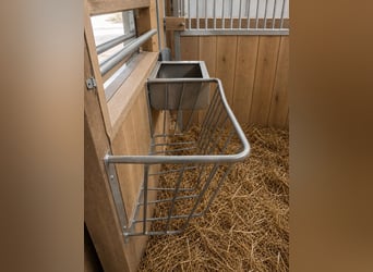 Stalruimte te huur op een idyllische locatie, met 8 stallen, buitenpaddocks en een loopstal