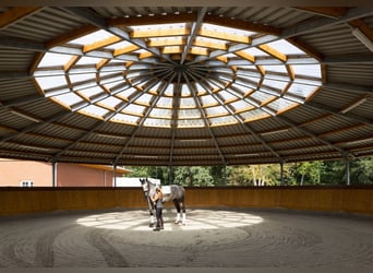 Vrije boxen op een toplocatie in Mecklenburg - nieuwbouw!!