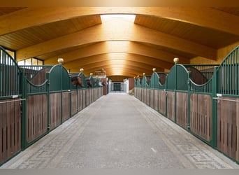 Vrije boxen op een toplocatie in Mecklenburg - nieuwbouw!!