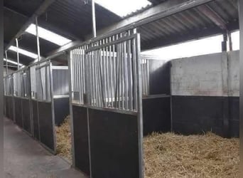 Ruime stallen beschikbaar – zelfstandig & professioneel paarden houden