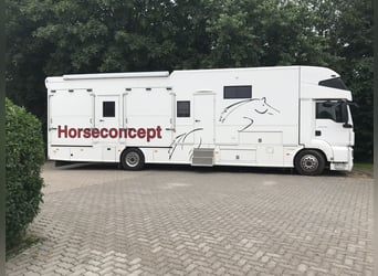 Beritt bei Problemen mit Ihrem Pferd/Pony, Anreiten, Turniervorstellung, Verkaufskommission
