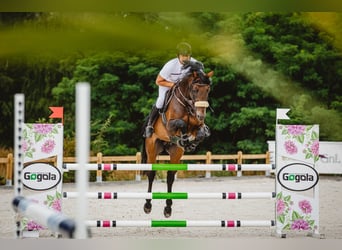 Beschikbaar voor training van springpaarden 🇩🇪 🇵🇱