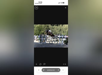 Plaats vrij voor training onder het zadel