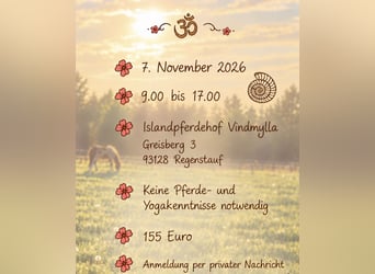 Bewuste zenuwstelsel reset en Paarden Retreat, 7-11-2026