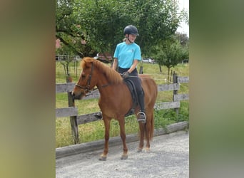 Centered Riding Kurs  4. und 5. Oktober 2025