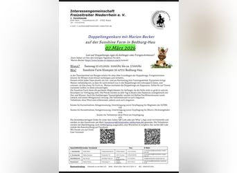 Doppellonge Tageskurs in Bedburg-Hau am 07.03.2026