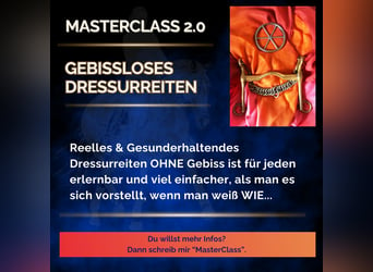 Gebissloses Dressurreiten ⭐MasterClass 2.0⭐Vorgespräch