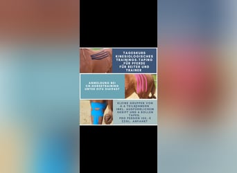 Kursangebot Tageskurs Bewegungsanalyse