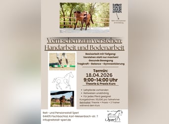 Van zien naar begrijpen - Handwerk en grondwerk