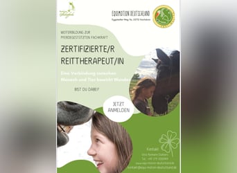 Weiterbildung Pferdegestützte Intervention / Reittherapeut:IN