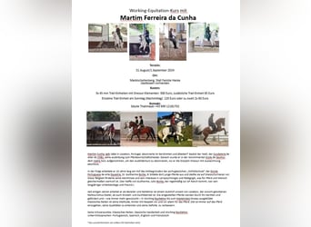 Working Equitation Kurs mit erfahrenem portugiesischem Ausbilder in Bayern, Grenze Salzburg