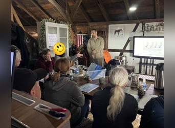 Workshop - Basiskurs - der Huf - Hufbearbeitung - Hufkurs