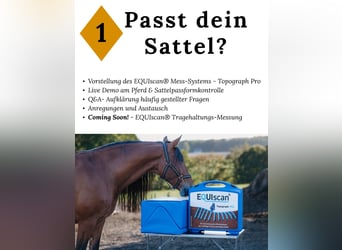 Workshops Sattelpassform(kontrolle)