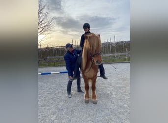 Yoga und Reiten 2. und 3. August