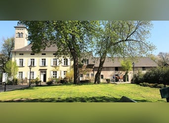 FREIBERUFLICHER SPRINGLEHRER (M/W/D) GESUCHT