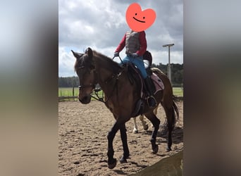Groepsrijlessen
