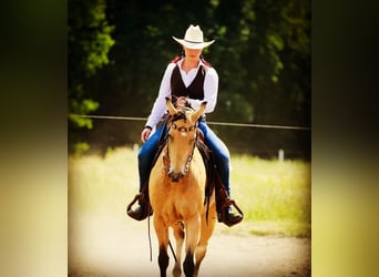 Individuelles Pferdetraining, Pferdeosteopathie, TGT, OsteoConceptCoach, NRW  