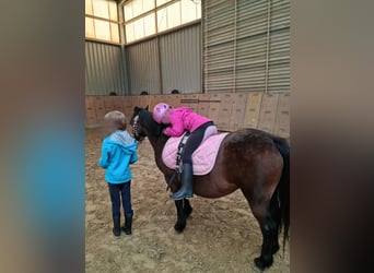 Kinderfeestje op de paardenboerderij