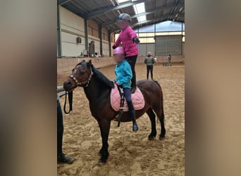 Kinderfeestje op de paardenboerderij