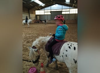 Kindergeburtstag auf dem Reiterhof